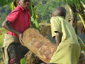 The plight of children in Kasese after the disasters